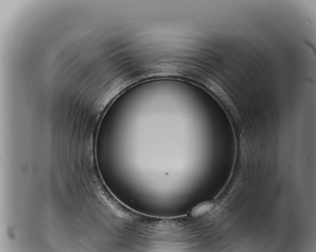 X0000099550842200805231149