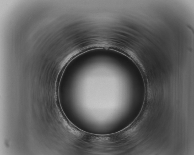 X0000099550845200805231149