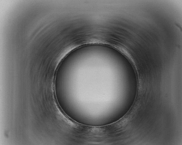 X0000099550847200805231149