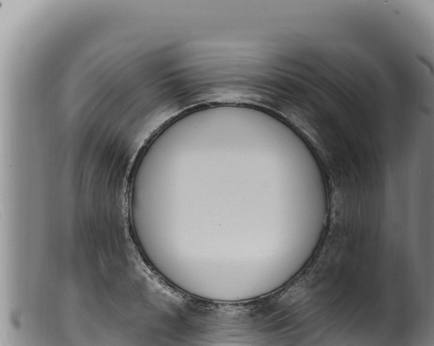 X0000099550848200805231149