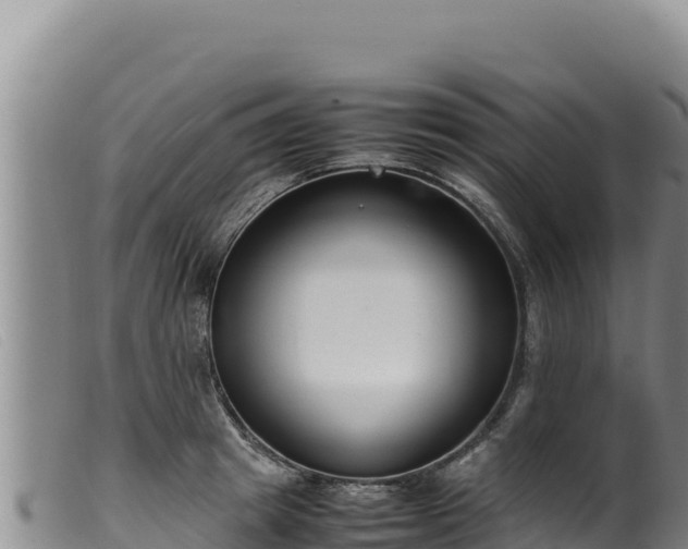 X0000099550849200805231149