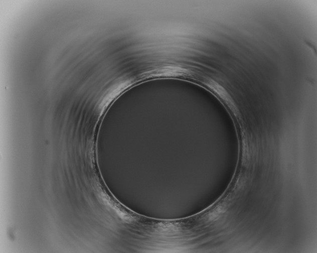 X0000099550850200805231149