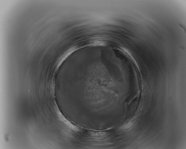 X0000099550851200805231149