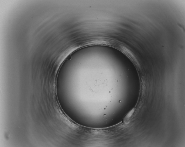 X0000099550852200805231149