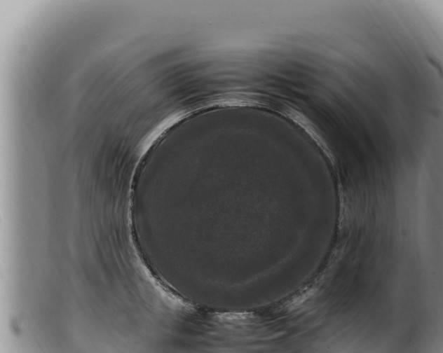 X0000099550853200805231149