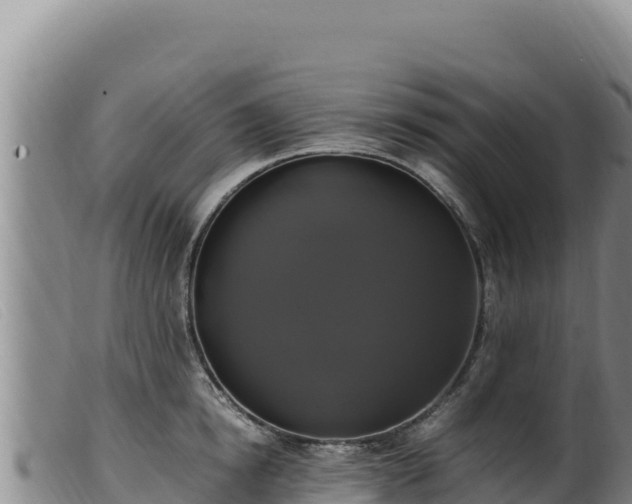 X0000099550854200805231149