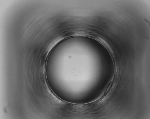 X0000099550855200805231149