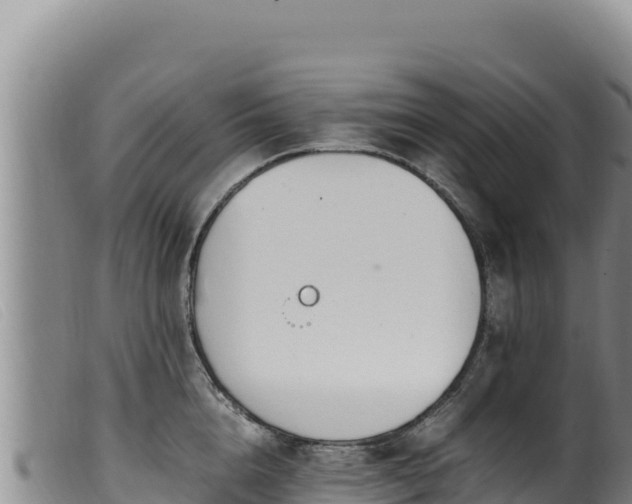 X0000099550856200805231149