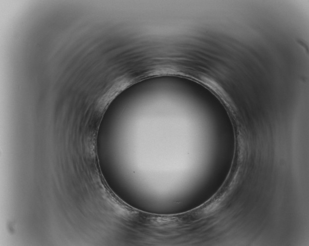 X0000099550857200805231149