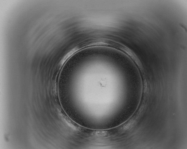 X0000099550858200805231149