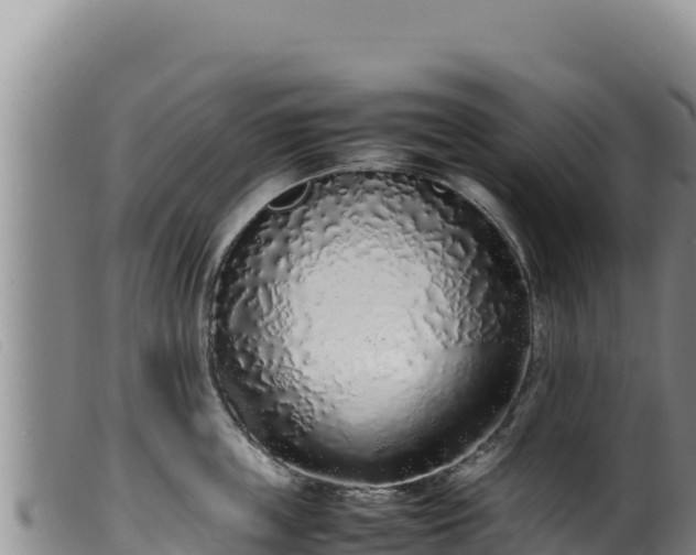 X0000099550859200805231149