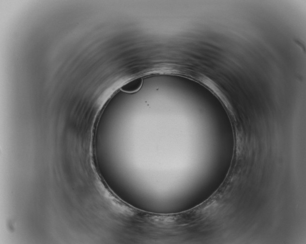 X0000099550861200805231149