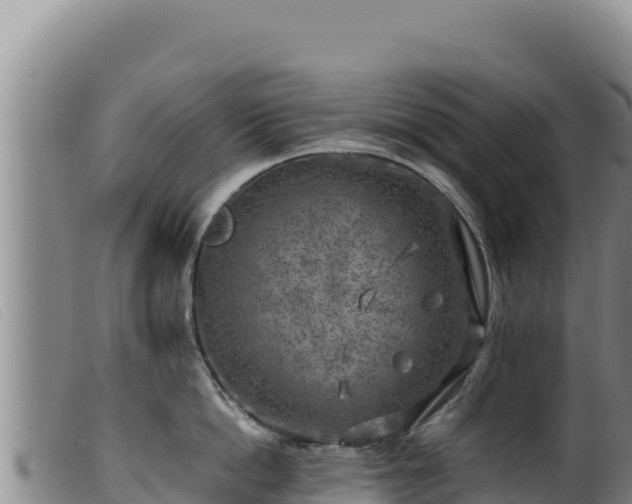 X0000099550862200805231149