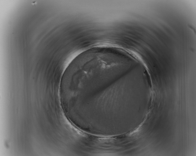 X0000099550863200805231149