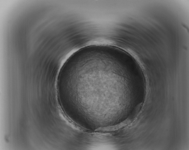 X0000099550864200805231149