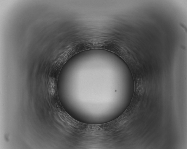 X0000099550866200805231148