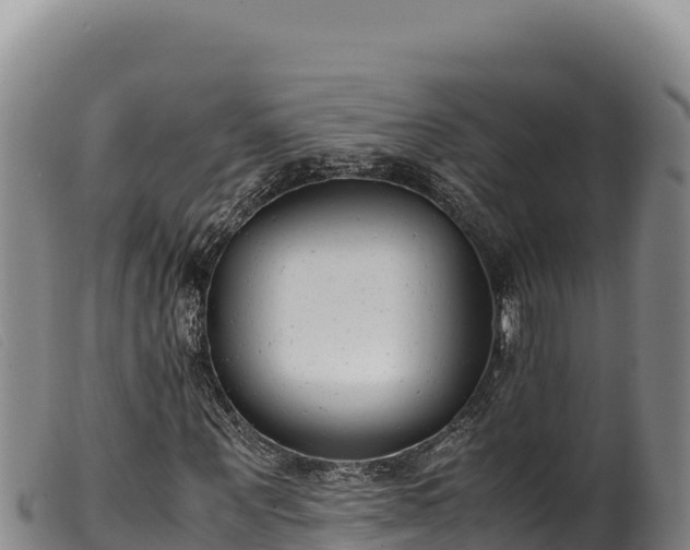 X0000099550867200805231148