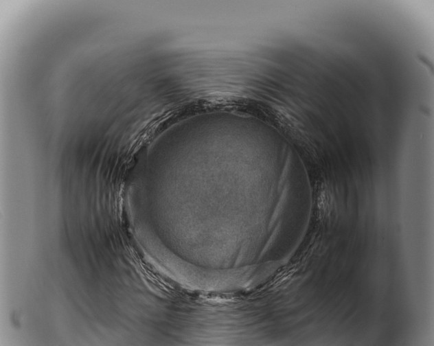 X0000099550868200805231148