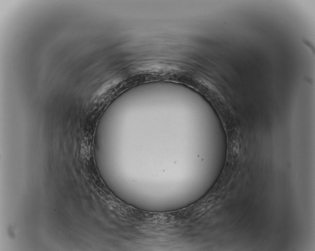 X0000099550869200805231148