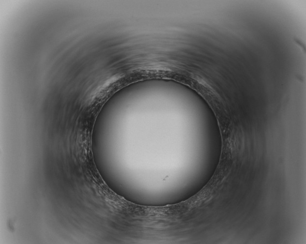 X0000099550870200805231148