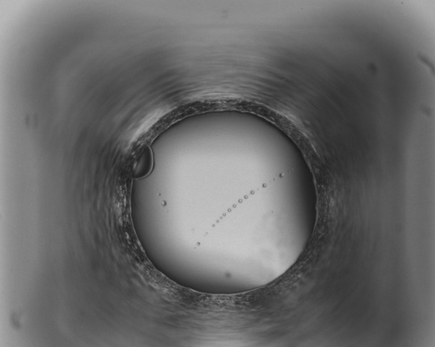 X0000099550871200805231148