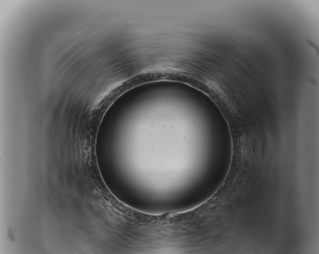 X0000099550872200805231148