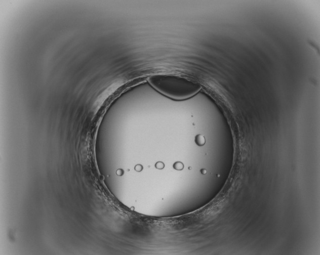 X0000099550875200805231148