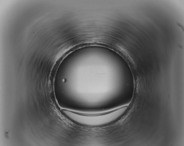 X0000099550876200805231148