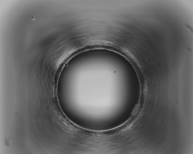 X0000099550877200805231148