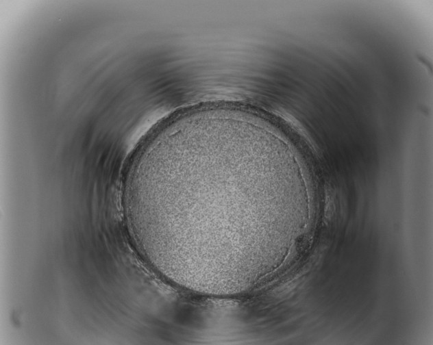 X0000099550878200805231148