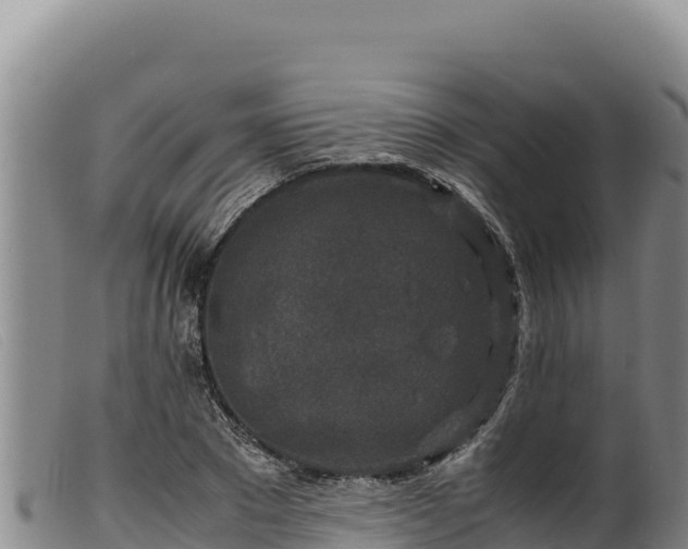 X0000099550881200805231148