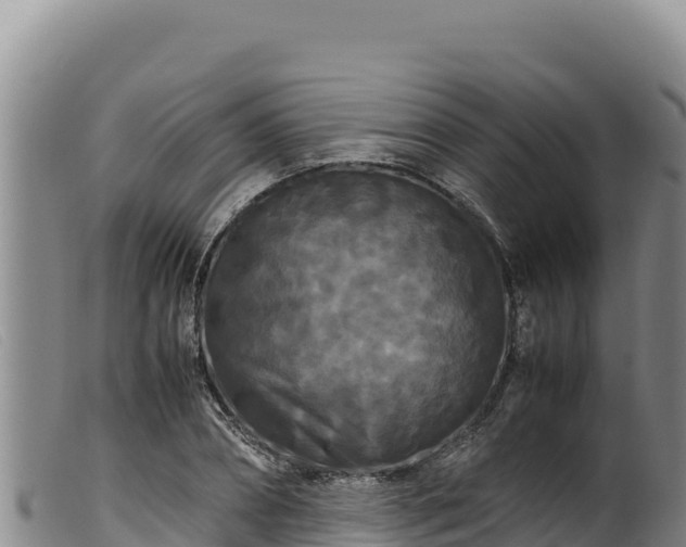 X0000099550882200805231148