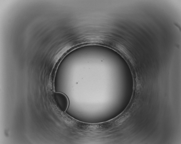 X0000099550883200805231148