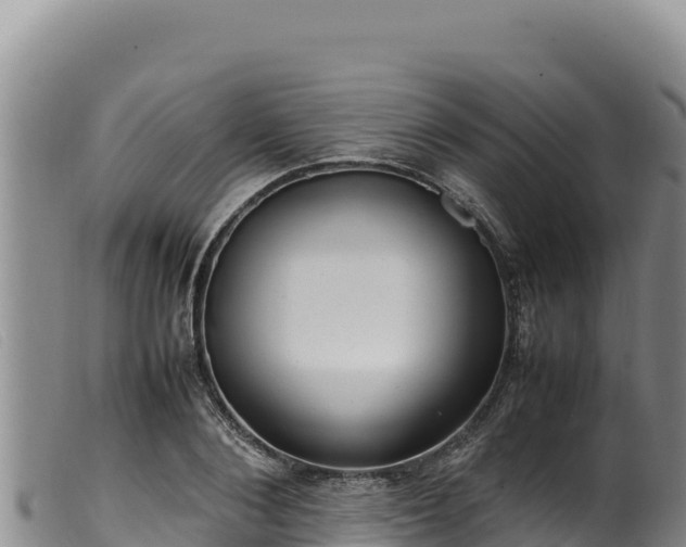 X0000099550884200805231148