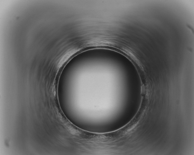 X0000099550885200805231148