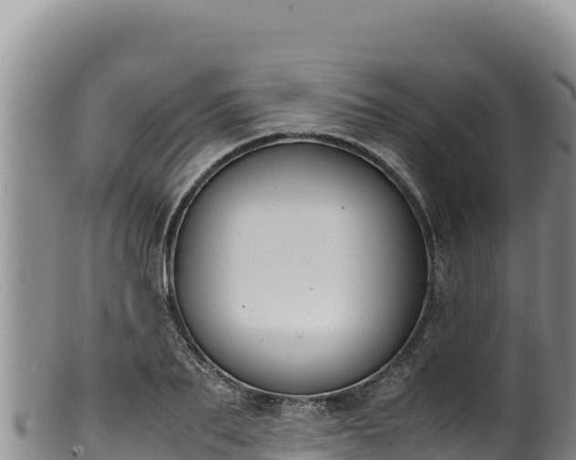 X0000099550887200805231148