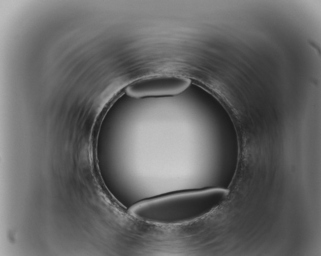 X0000099550888200805231148