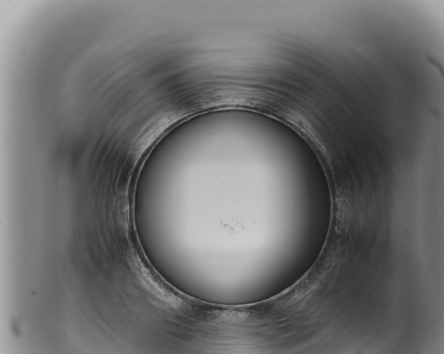 X0000099550890200805231148