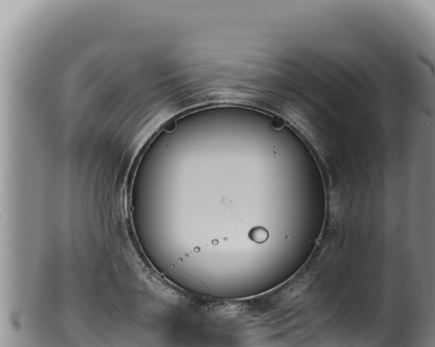 X0000099550891200805231148