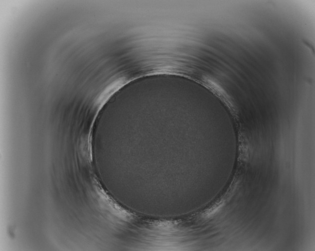 X0000099550892200805231148