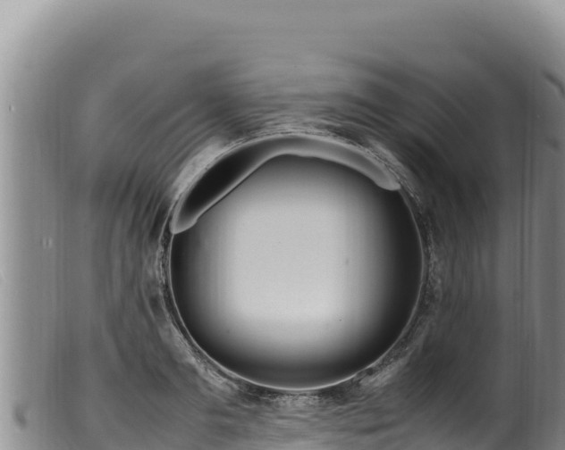 X0000099550893200805231148