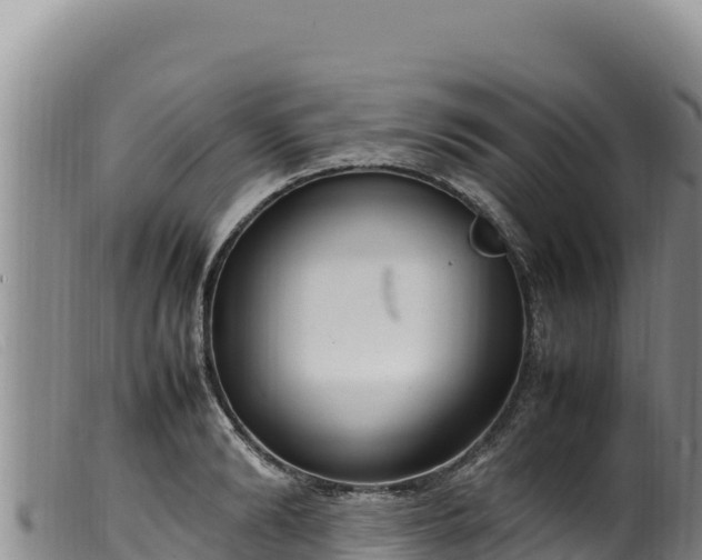 X0000099550894200805231148