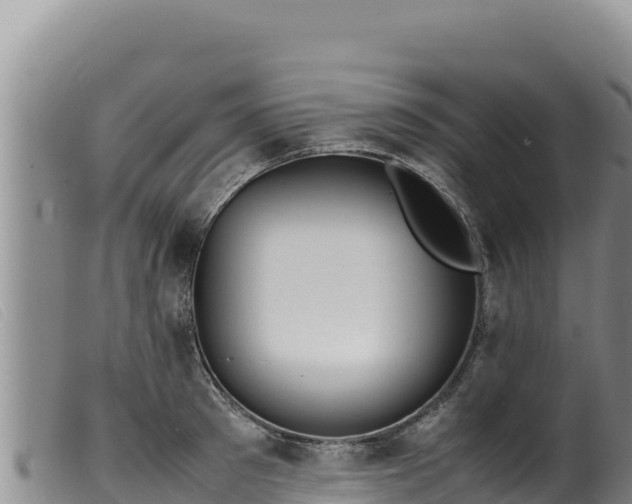 X0000099550897200805231148