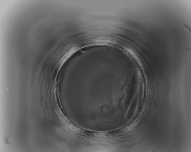 X0000099550899200805231148