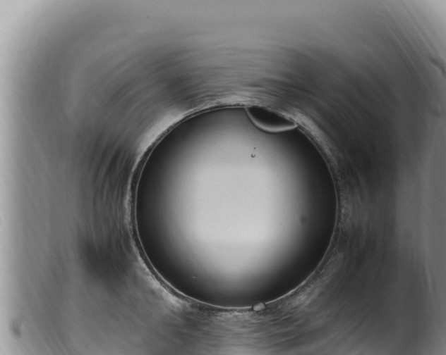 X0000099550902200805231148