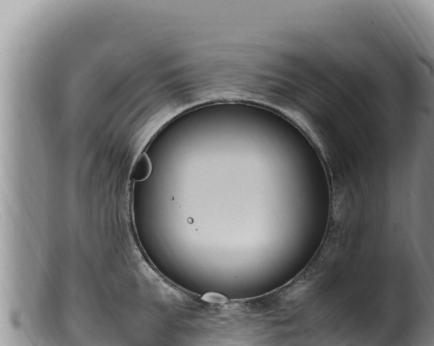 X0000099550903200805231148