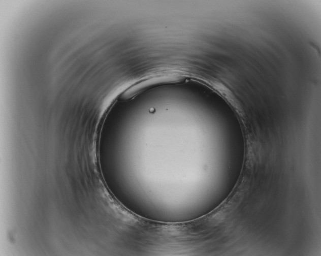 X0000099550904200805231148