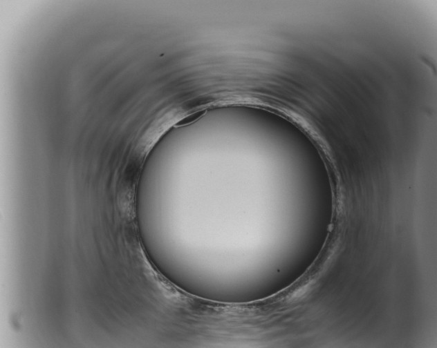 X0000099550905200805231148