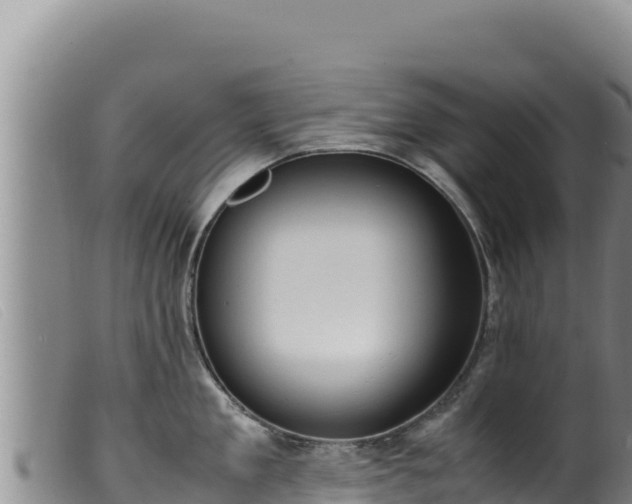 X0000099550909200805231148