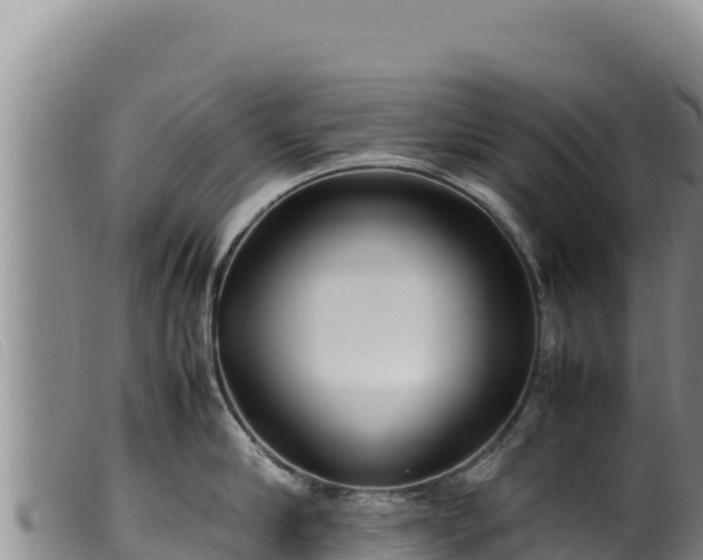 X0000099550910200805231148